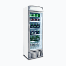 Glass single door Merchandiser, 380 litres